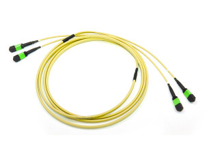 OS2 MPO Trunk Cables [F-F] With MTX Connector